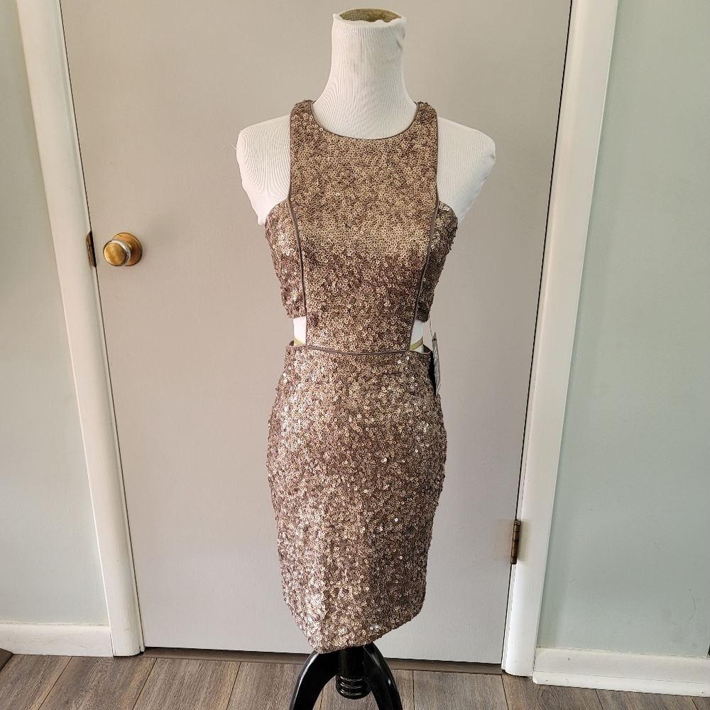 Express Sequin Dress in Gold and Brown